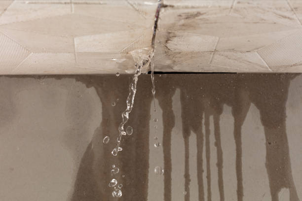 Professional Water Damage Repair technician working in Lillian, TX